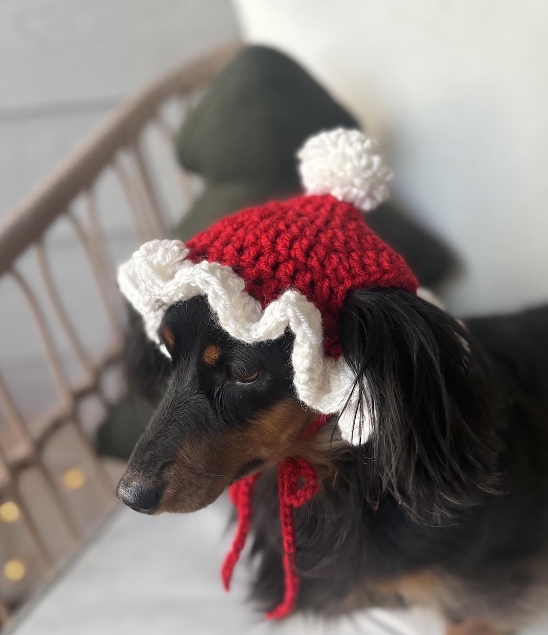 39 Dog Hat Crochet Patterns to Make for Photos, Gifts, and Festive Dress-Up 23 Santa Ruffle Dog Hat Crochet