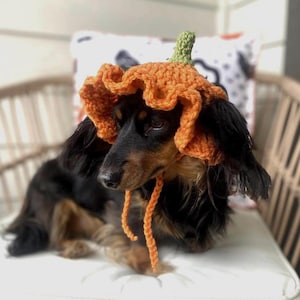 Crochet Pumpkin Hat Pattern for Pets: Ruffle Design, Sizes XS-L (PDF Pattern)