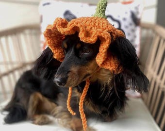 Crochet Pumpkin Hat Pattern for Pets: Ruffle Design, Sizes XS-L (PDF Pattern)