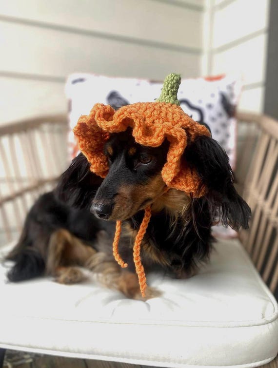 Crochet Pumpkin Hat Pattern for Pets: Ruffle Design, Sizes XS-L (PDF Pattern)