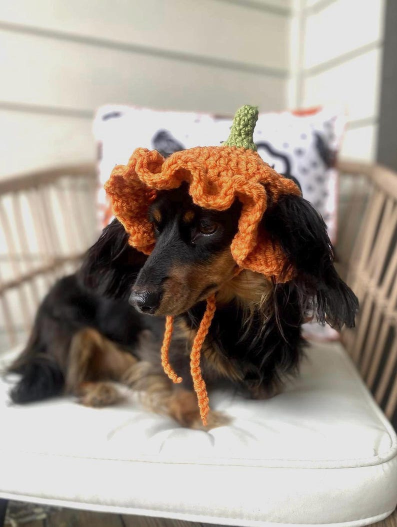 Crochet Pumpkin Hat Pattern for Pets: Ruffle Design, Sizes XS-L (PDF Pattern) image 1