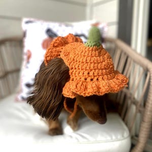 Crochet Pumpkin Hat Pattern for Pets: Ruffle Design, Sizes XS-L (PDF Pattern) image 6