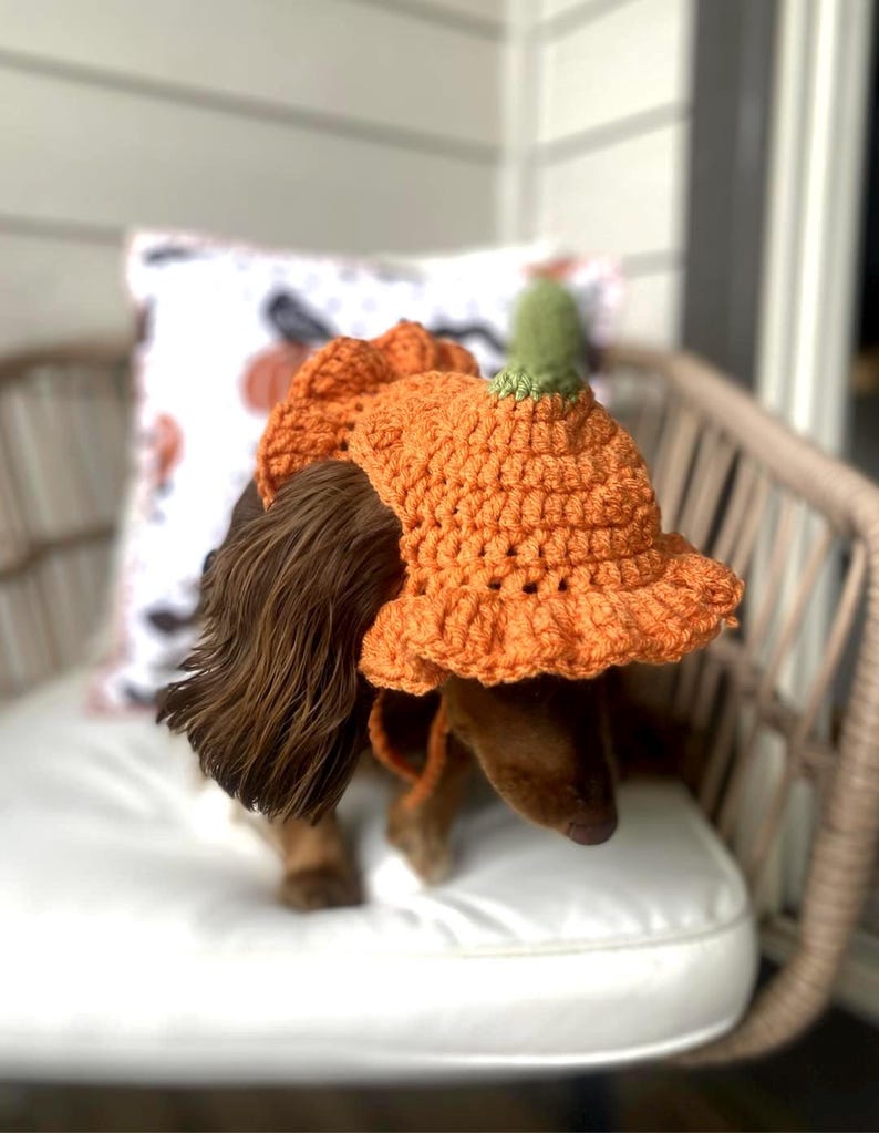 Crochet Pumpkin Hat Pattern for Pets: Ruffle Design, Sizes XS-L (PDF Pattern) image 6