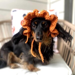 Crochet Pumpkin Hat Pattern for Pets: Ruffle Design, Sizes XS-L (PDF Pattern) image 8