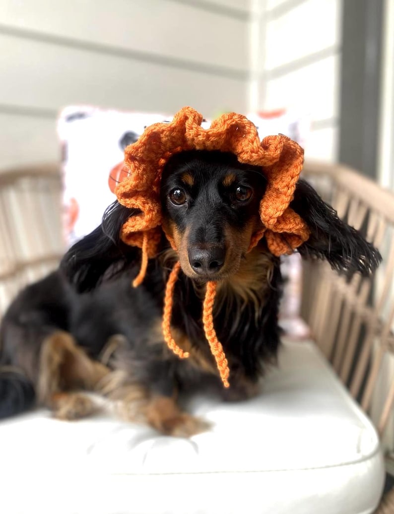 Crochet Pumpkin Hat Pattern for Pets: Ruffle Design, Sizes XS-L (PDF Pattern) image 8