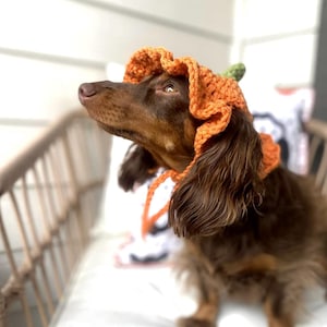 Crochet Pumpkin Hat Pattern for Pets: Ruffle Design, Sizes XS-L (PDF Pattern) image 5