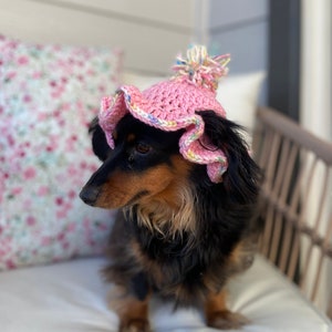 Bonnet à volants pour chien, patron au crochet PDF