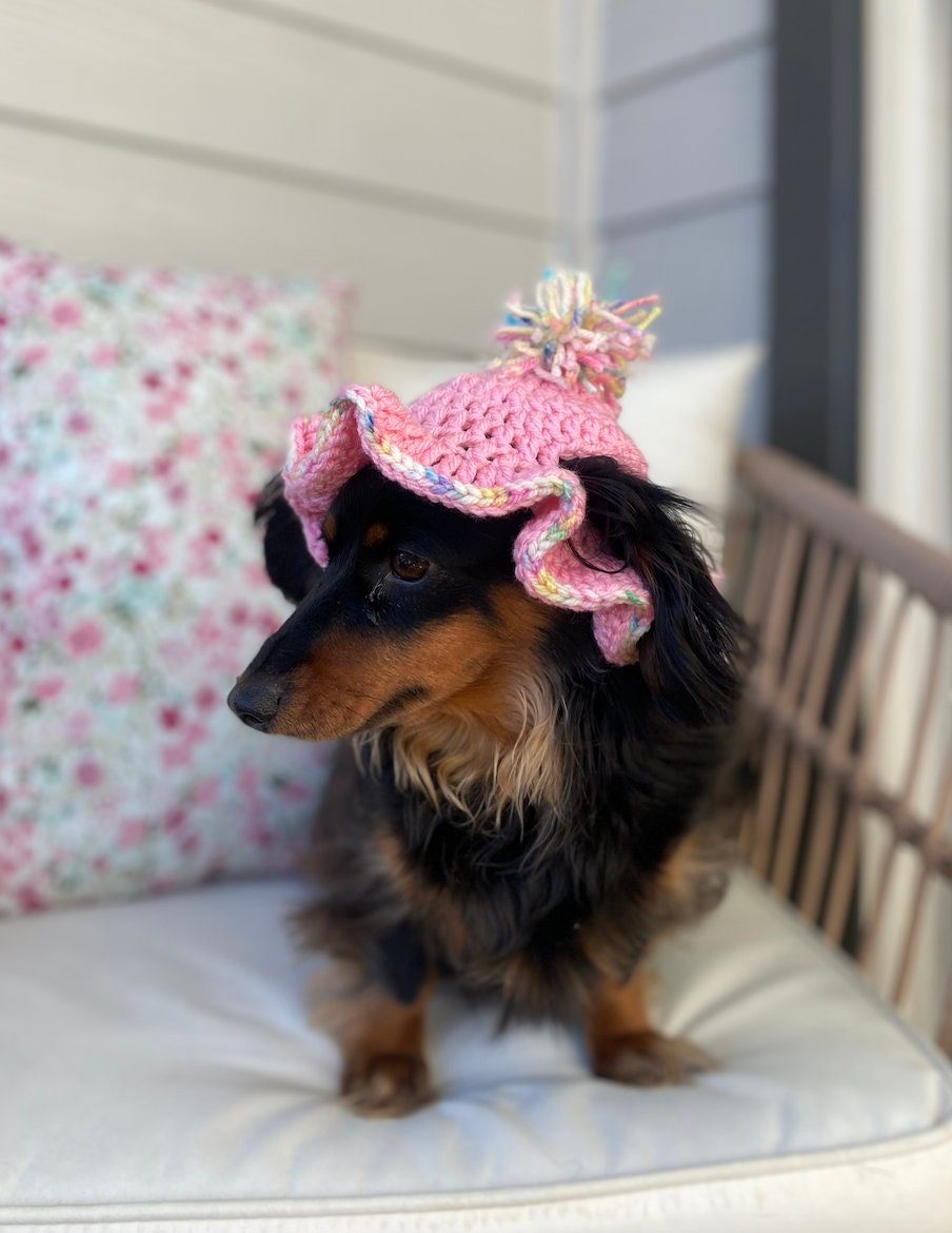 39 Dog Hat Crochet Patterns to Make for Photos, Gifts, and Festive Dress-Up 14 Original Ruffle Dog Hat with sizes