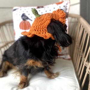 Crochet Pumpkin Hat Pattern for Pets: Ruffle Design, Sizes XS-L (PDF Pattern) image 3