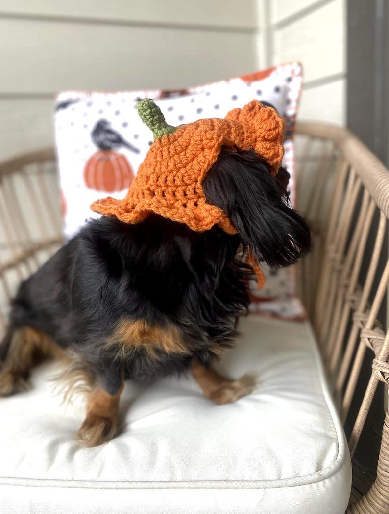 Crochet Pumpkin Hat Pattern for Pets: Ruffle Design, Sizes XS-L (PDF Pattern) image 3
