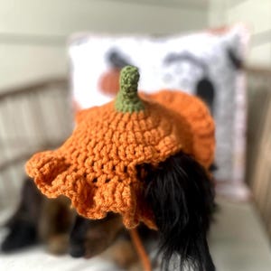 Crochet Pumpkin Hat Pattern for Pets: Ruffle Design, Sizes XS-L (PDF Pattern) image 2