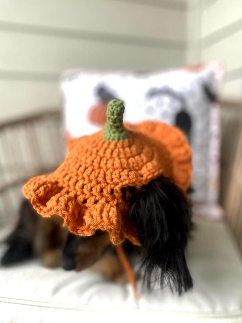 Crochet Pumpkin Hat Pattern for Pets: Ruffle Design, Sizes XS-L (PDF Pattern) image 2