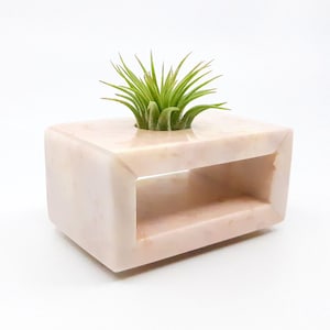 Luftpflanzenhalter, Luftpflanzenhalter für Schreibtisch, Pflanzenhalter für Air Plant, Marmor Dekor, Air Plant Geschenk, Schreibtisch Zubehör, Büro Dekor