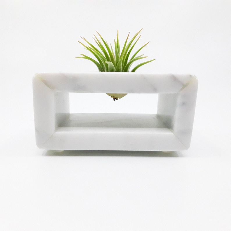 May include: A white marble planter with a rectangular opening, designed to hold an air plant. The air plant is green and has long, thin leaves.