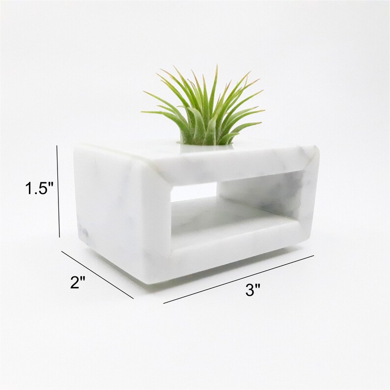 May include: White marble planter with a rectangular shape and a cutout in the middle. The planter is 3 inches wide, 2 inches deep, and 1.5 inches tall. A small air plant is sitting in the planter.