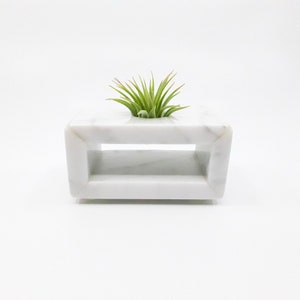May include: A white marble planter with a rectangular opening, featuring a small green air plant growing inside.
