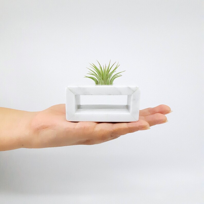 May include: A white marble planter with a small air plant growing inside. The planter has a rectangular shape with a cutout in the middle.