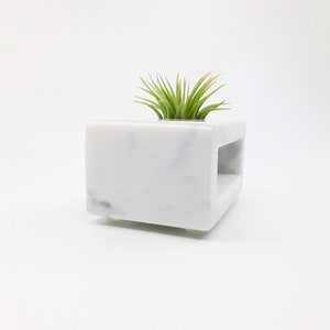May include: White marble planter with a small air plant growing inside. The planter has a rectangular shape with a cutout on one side.