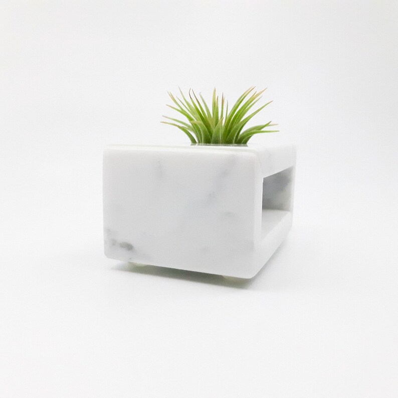 May include: White marble planter with a small air plant growing inside. The planter has a rectangular shape with a cutout on one side.