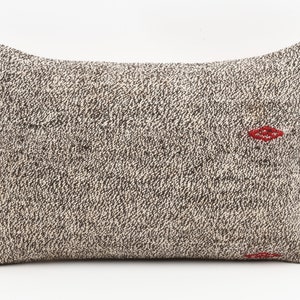 Turkish Kilim Pillow Cover: Handwoven Wool Ethnic Throw Pillow (16x24)