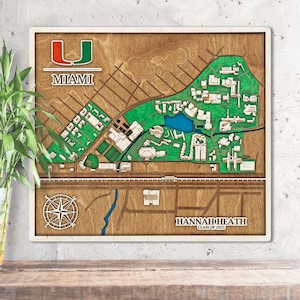Mappa del campus universitario in legno 3D personalizzata Mappa del college Arte murale