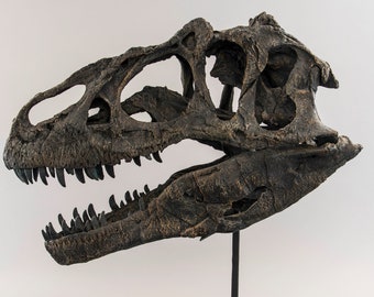Allosaurus Shepherd [Jumpstart] main image 0
