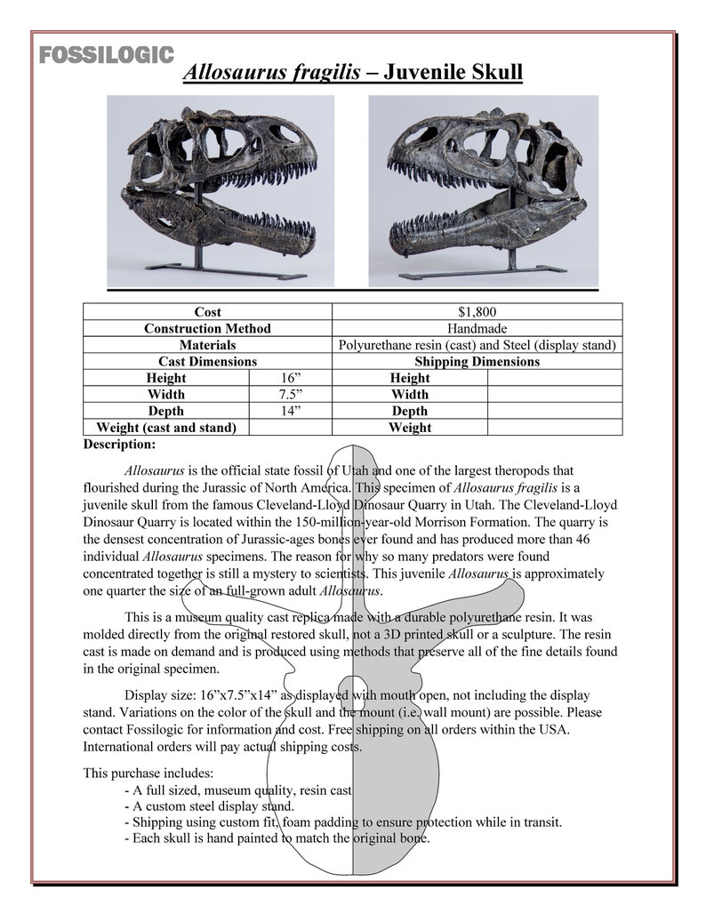 allosaurus fragilis a revised osteology