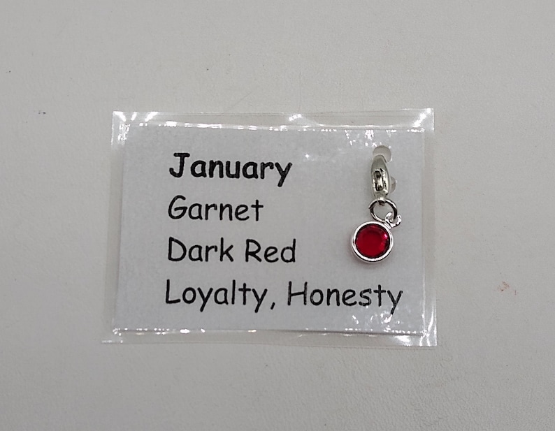 May include: A silver charm with a red garnet stone. The charm is labeled "January, Garnet, Dark Red, Loyalty, Honesty".
