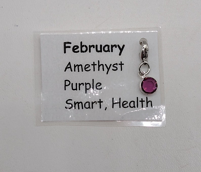 May include: A silver charm with a purple amethyst stone. The charm has a tag attached that says "February, Amethyst, Purple, Smart, Health".