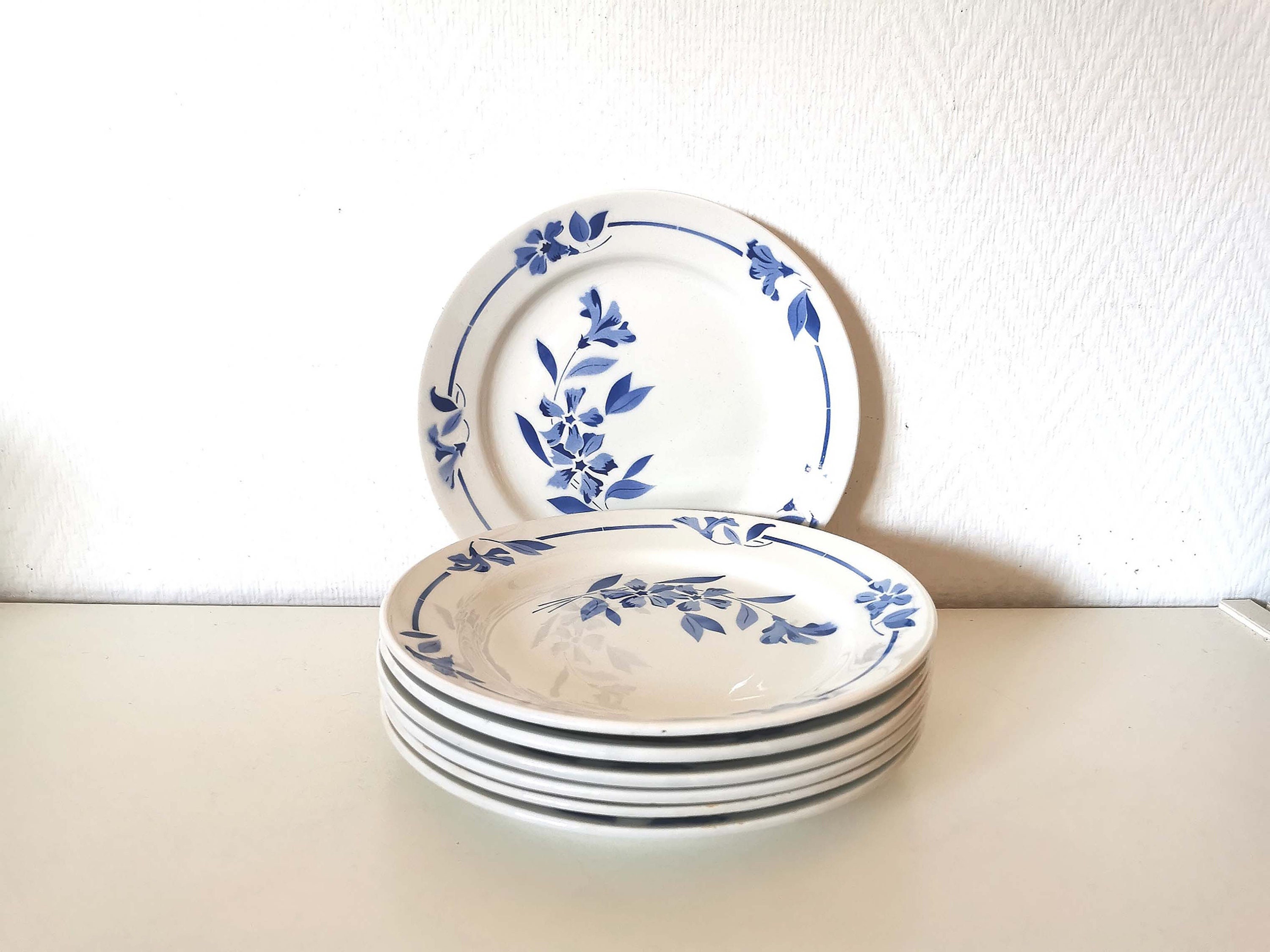 Assiettes Plates /Salade/Fromage/Porcelaine/ Hbcm/Creil et Montereau /Motifs Fleur/Bleu Blanc Modèle