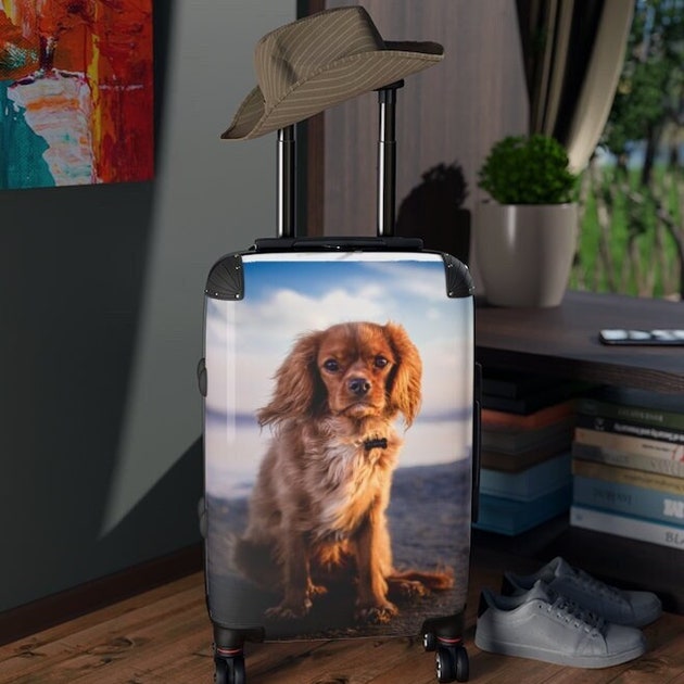 Custom Dog Picture Carry On Suitcase Personalized Traveler Photo Cabin Spinner Bag