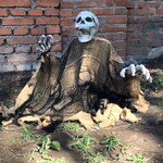 Skeleton Decorations