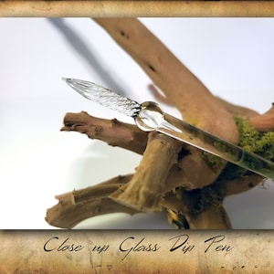 Puede incluir: Primer plano de una pluma de inmersi&oacute;n de vidrio transparente con un dise&ntilde;o de espiral decorativo en la punta. La pluma est&aacute; apoyada en un trozo de madera flotante.