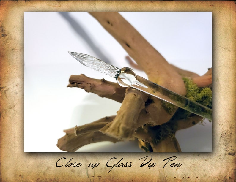 Puede incluir: Primer plano de una pluma de inmersi&oacute;n de vidrio transparente con un dise&ntilde;o de espiral decorativo en la punta. La pluma est&aacute; apoyada en un trozo de madera flotante.