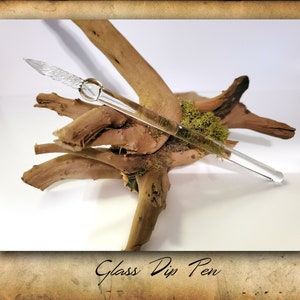 Puede incluir: Una pluma de inmersi&oacute;n de vidrio transparente con una plumilla decorativa descansa sobre un trozo de madera a la deriva con musgo. La pluma es una herramienta de escritura para caligraf&iacute;a y arte.