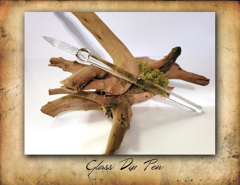 Puede incluir: Una pluma de inmersi&oacute;n de vidrio transparente con una plumilla decorativa descansa sobre un trozo de madera a la deriva con musgo. La pluma es una herramienta de escritura para caligraf&iacute;a y arte.