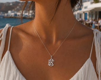 May include: A silver-toned necklace featuring a pendant with the intertwined letters LS in a decorative, ornate script font. The pendant hangs from a delicate, thin silver-toned chain that rests against the collarbone area of the wearer.