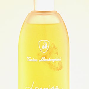 Tonino Lamborghini Louise Eau de Parfum Edp 100ml Spray Damen Parfüm Sehr selten Vintage 90er