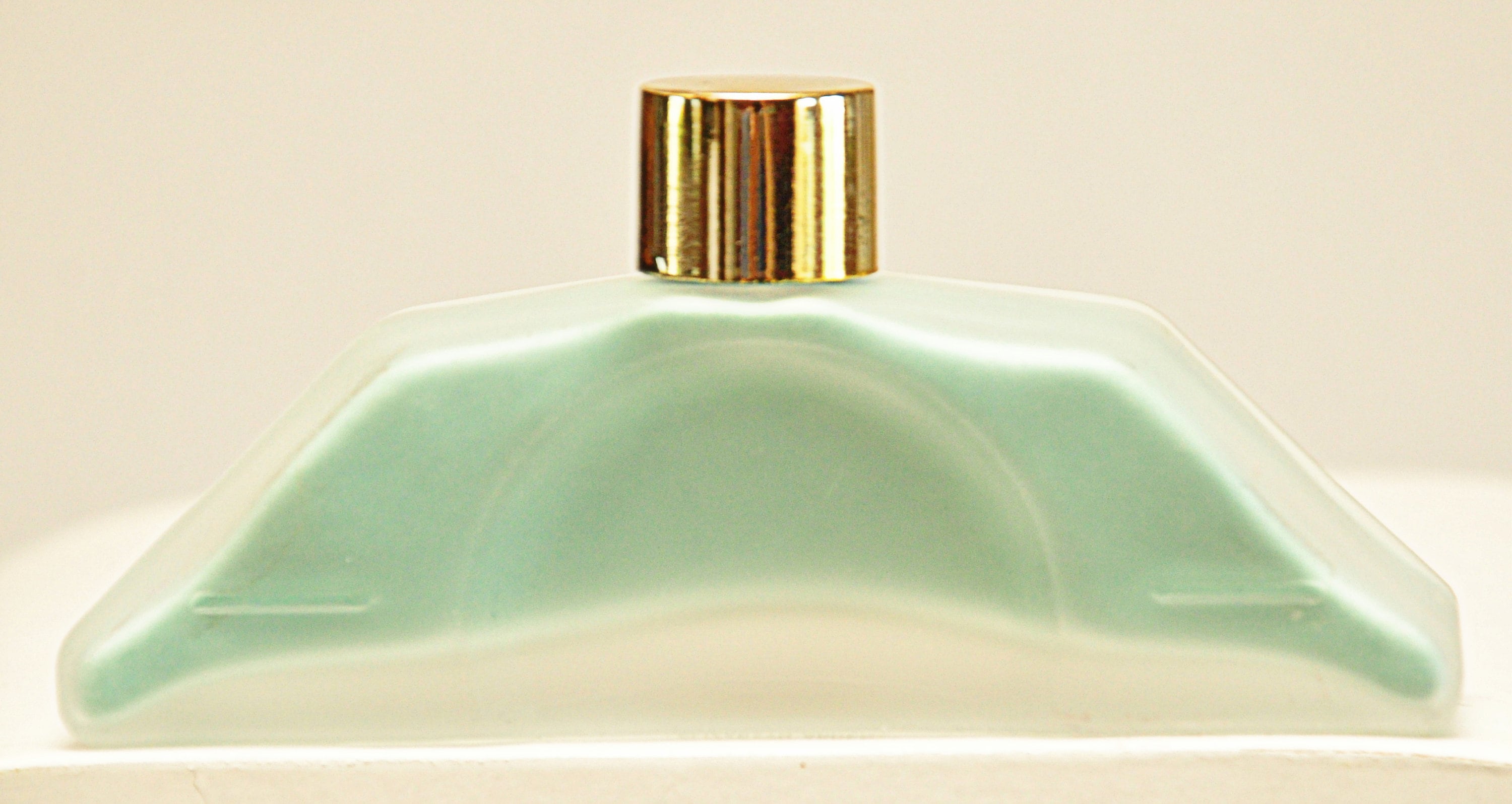 Elizabeth Arden Bath Salts Blue Grass 54gr. 1.9 Oz. Casetta - Etsy