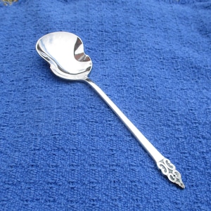 May include: A silver spoon with a decorative handle. The spoon has a rounded bowl and a long, slender handle.
