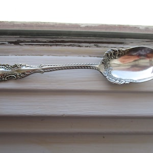 May include: A silver sugar spoon with an ornate handle and a rounded bowl. The spoon is resting on a white surface.