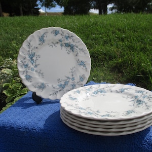 Vintage Staffordshire Plate Small - Etsy