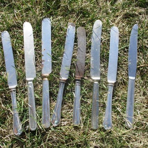May include: A collection of nine silver butter knives with varying designs and styles. The knives are arranged in a row on a bed of green grass.