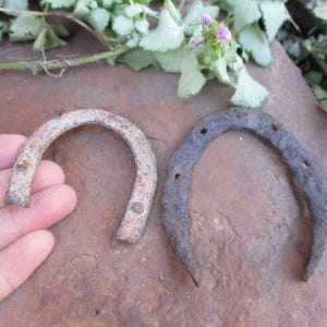 May include: Two rusty horseshoes, one is white and the other is dark gray. The horseshoes are on a brown surface.