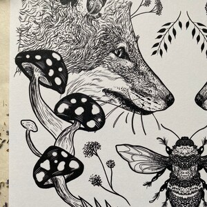 May include: Black and white line art illustration of a fox, mushrooms, and a bee. The fox is looking to the right, and the bee is flying to the left. The mushrooms are in the lower left corner of the image.