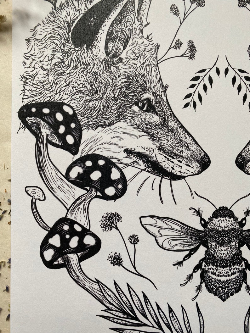 May include: Black and white line art illustration of a fox, mushrooms, and a bee. The fox is looking to the right, and the bee is flying to the left. The mushrooms are in the lower left corner of the image.