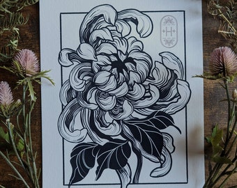 Chrysanthemum Flower Illustration Print