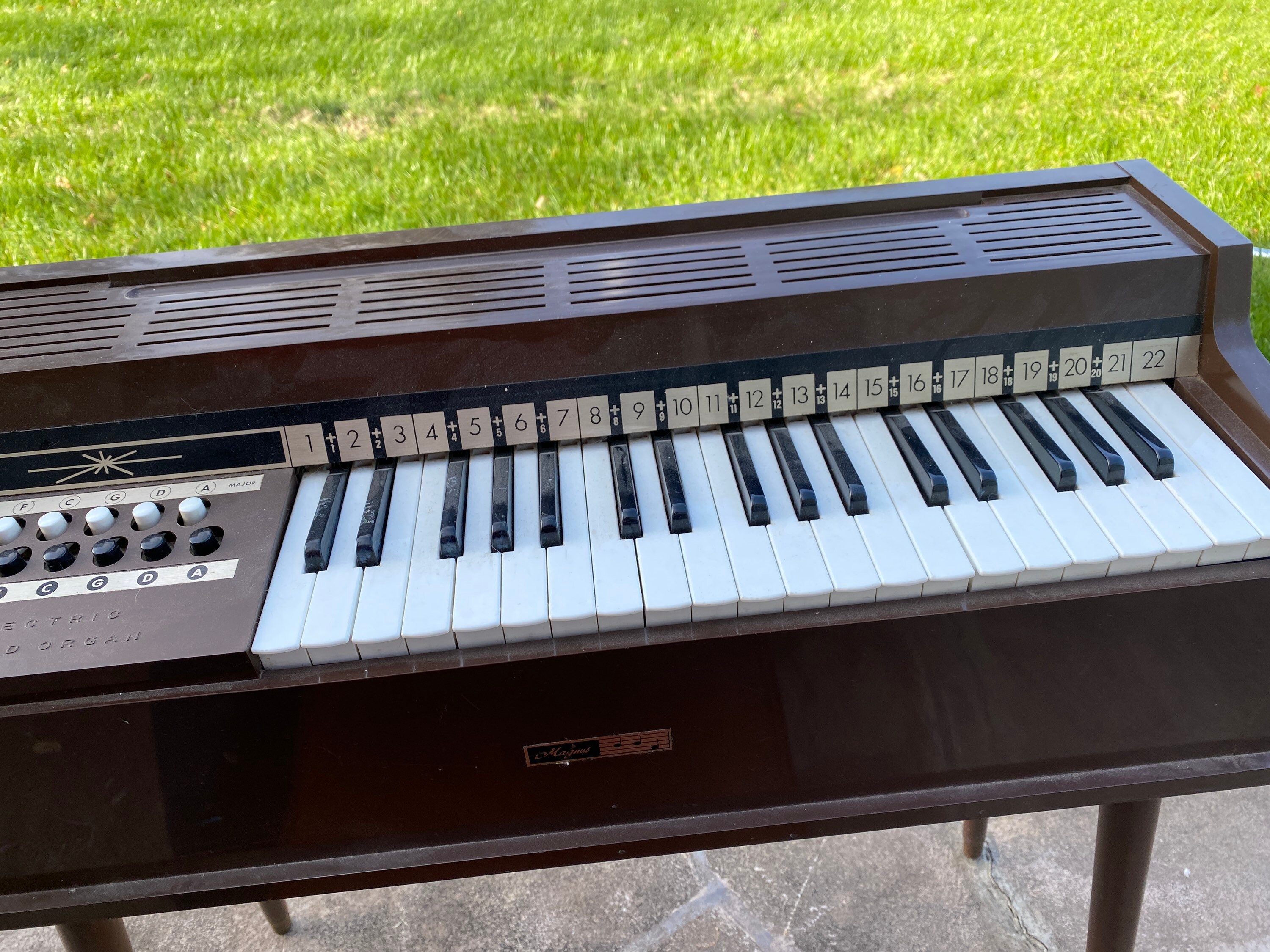 Magnus Chord Organ | Vintage 1960's Magnus Electric Chord Organ