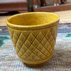 May include: A yellow ceramic planter with a diamond pattern. The planter has a speckled texture and a slightly flared rim. The design is a classic, decorative piece for indoor or outdoor plants. The planter is sitting on a patterned rug.
