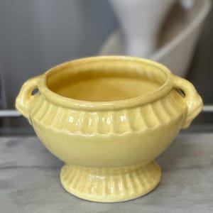 May include: A yellow ceramic planter with two handles and a fluted design. The planter has a round base and a wide, open top.